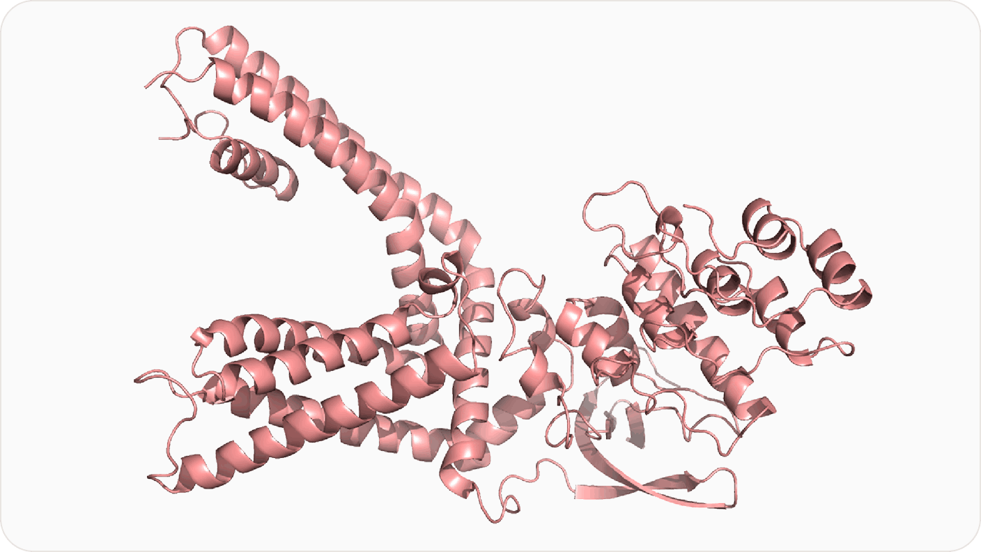Three-dimensional structure of TRPV1 Chain A